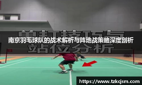 南京羽毛球队的战术解析与阵地战策略深度剖析