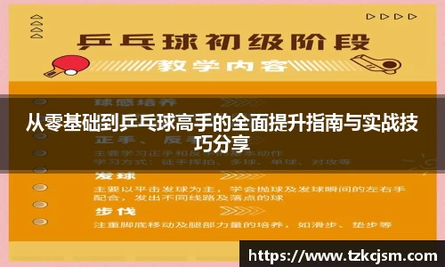 从零基础到乒乓球高手的全面提升指南与实战技巧分享
